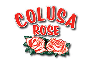 Colusa Rose