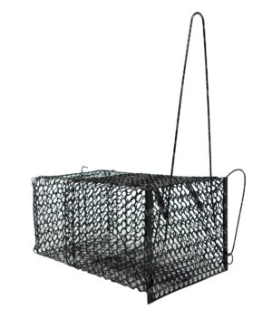 TAIWAN  Black Rat Cages