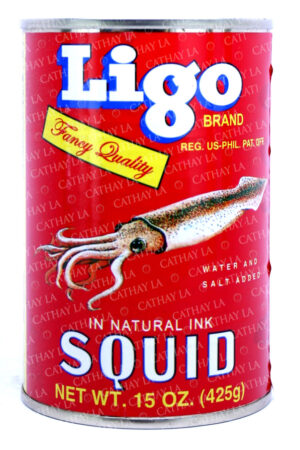 LIGO  Squid