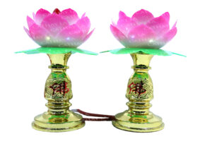 5.5  Lotus Light